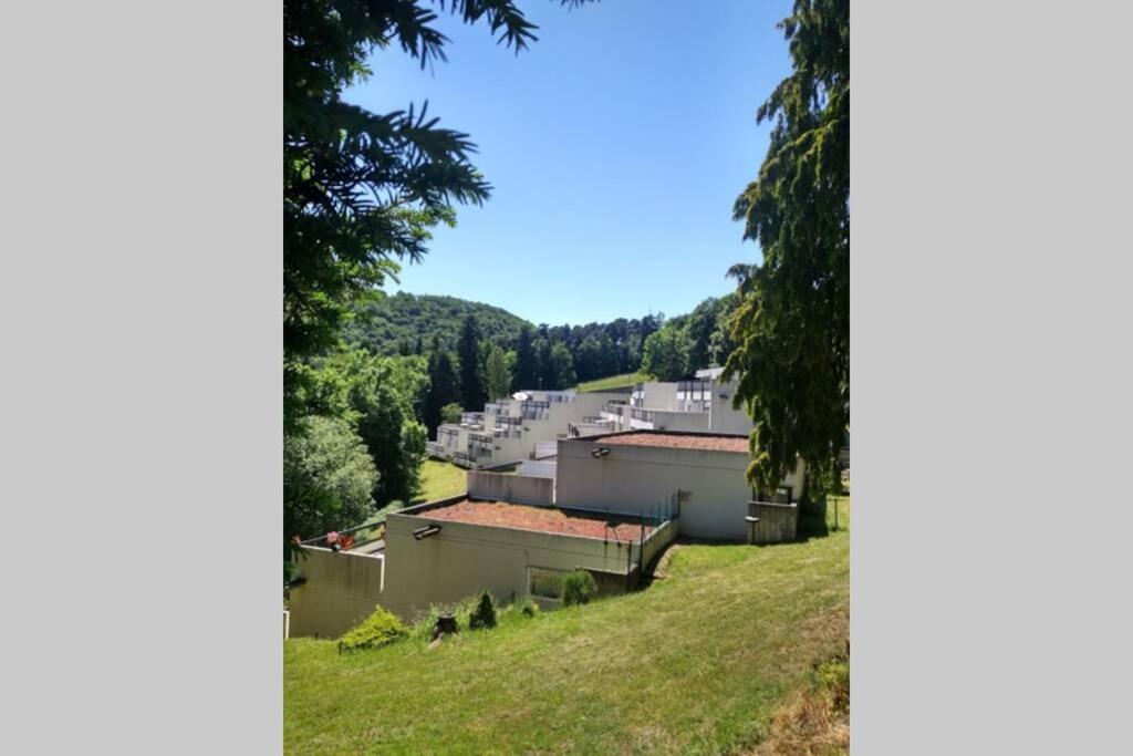 Studio au cœur des Volcans d Auvergne - Murol Extérieur photo